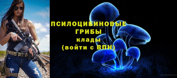 ALPHA PVP Алексин